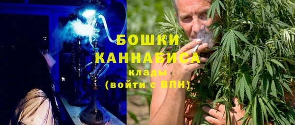 гидропоника Медногорск
