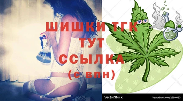 гидропоника Медногорск
