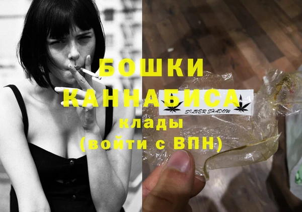 гидропоника Медногорск