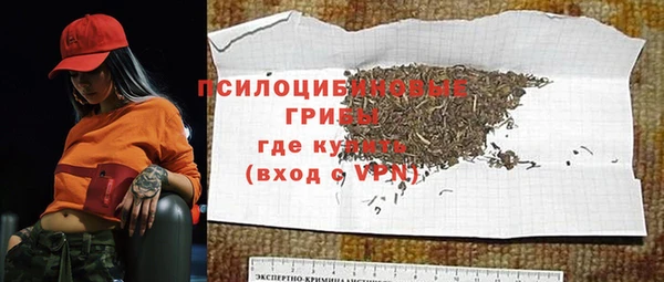 дурь Мегион
